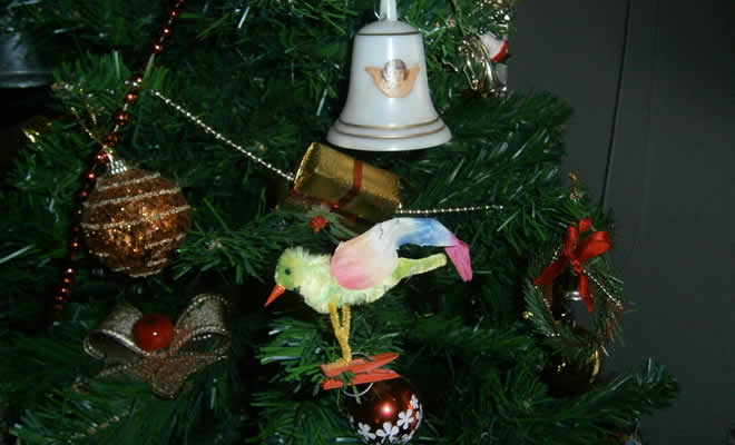 «Χριστουγεννιάτικα πουλάκια και καμπανούλες» από τον Βαγγέλη Μητράκο