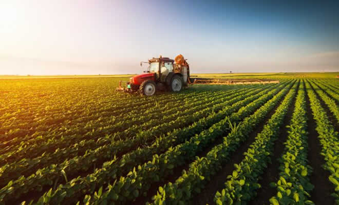 Βουλευτές Πελοποννήσου ΣΥΡΙΖΑ-ΠΣ: «Νέοι Αγρότες: Να ενταχθούν όλοι οι επιλαχόντες στην Περιφέρεια Πελοποννήσου»