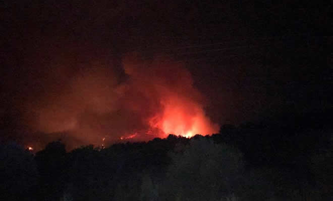 Στις φλόγες πάλι η ανατολική Μάνη: Νέο πύρινο μέτωπο στην περιοχή Κοκκάλα