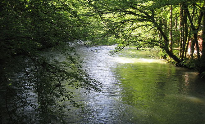 Ο «Σύλλογος Φίλων Προστασίας του Ποταμού Ευρώτα», ζητά την ενημέρωση των πολιτών του Δήμου Ευρώτα για την κατασκευή ΧΥΤΥ και καθαρισμό