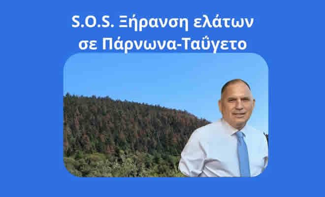 Νεοκλής Κρητικός: «Ανησυχητική η Ξήρανση Ελάτων σε Πάρνωνα-Ταΰγετο»