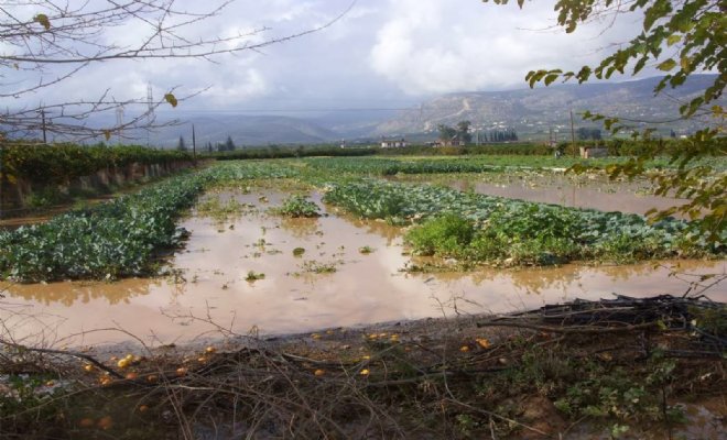 Υποβολή δηλώσεων ζημιάς στους ανταποκριτές του ΕΛΓΑ