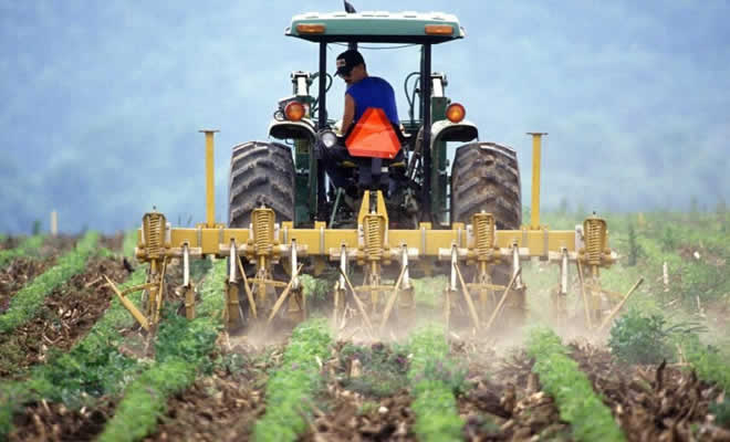 Αγροκτηνοτροφικοί Σύλλογοι Λακωνίας: Ανησυχία για το Μέλλον του Αγροτικού Κλάδου Μετά τις Εξαγγελίες στην ΔΕΘ