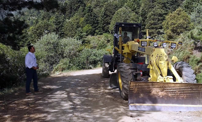 Η Περιφερειακή Ενότητα Λακωνίας στο πλευρό του Δασαρχείου