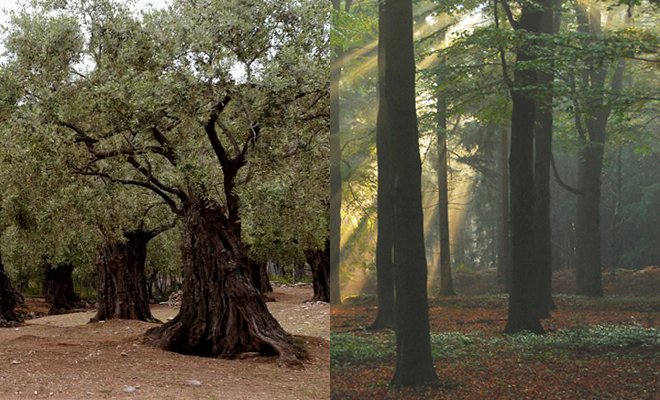 Νομίζατε ότι τελειώσατε με το Κτηματολόγιο; Πλανάστε, έρχεται νέα ταλαιπωρία