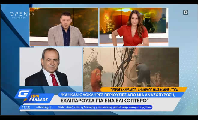 Κατηγορώ Ανδρεάκου: «Κάηκαν περιουσίες... εκλιπαρούσα για ένα ελικόπτερο» - video