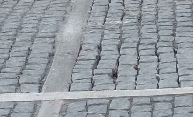 «Το Τραμ της Σπάρτης και … άλλα» από τον Βαγγέλη Μητράκο