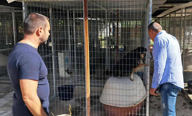 Μήνυμα του Δημάρχου Σπάρτης, Μιχάλη Βακαλόπουλου, με αφορμή την Παγκόσμια Ημέρα των Ζώων