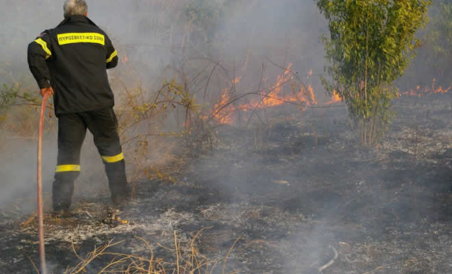 Νέα φωτιά στην περιοχή Δρυάλια της Αν. Μάνης