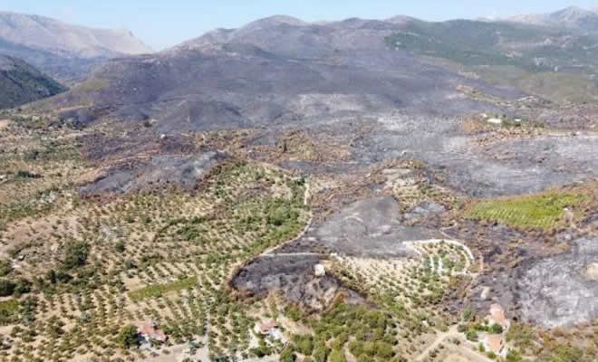 Προωθήθηκε στα υπουργεία από την Περιφέρεια Πελοποννήσου ο απολογισμός των ζημιών στον πυρόπληκτο Δήμο Ανατολικής Μάνης