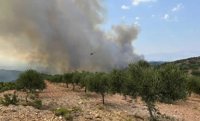 Σε ύφεση βρίσκεται η πυρκαγιά στο Λευκόχωμα