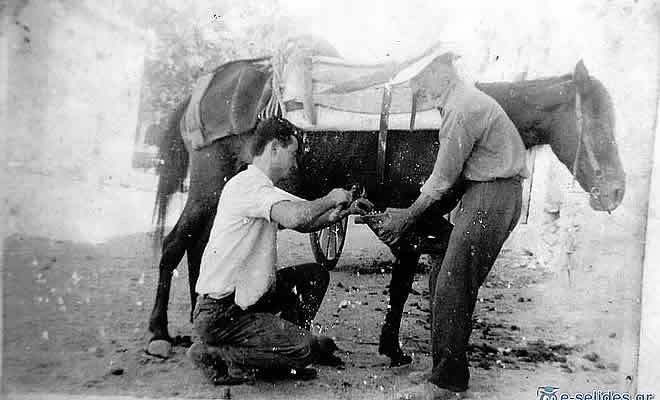 «Στο Καρφί και στο Πέταλο» από τον Βαγγέλη Μητράκο