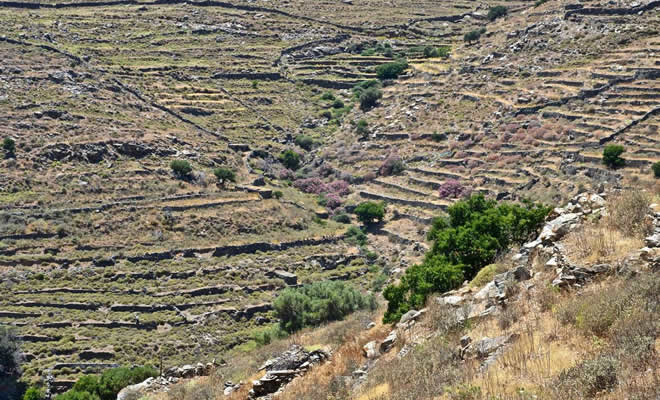 Νεοκλής Κρητικός: Να δούμε ξανά τους Δασικούς Χάρτες στη Μάνη