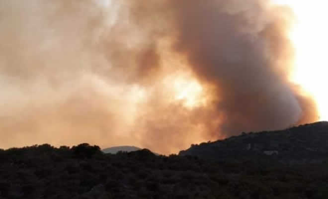 Πυρκαγιά εκδηλώθηκε στην περιοχή της Λάγιας/Τρικάλια, στην Αν. Μάνη