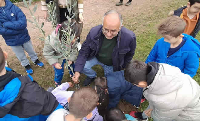 Με κυκλάμινα και ελιές δίνουμε χρώμα και περισσότερο πράσινο στο Πάρκο Γουδέ