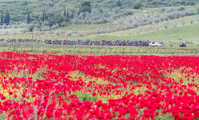 Διοργανώθηκε από την Ποδηλατική Ένωση Παλαιμάχων Αθλητών, ο 14ος Ποδηλατικός Γύρος Νεμέας 2022