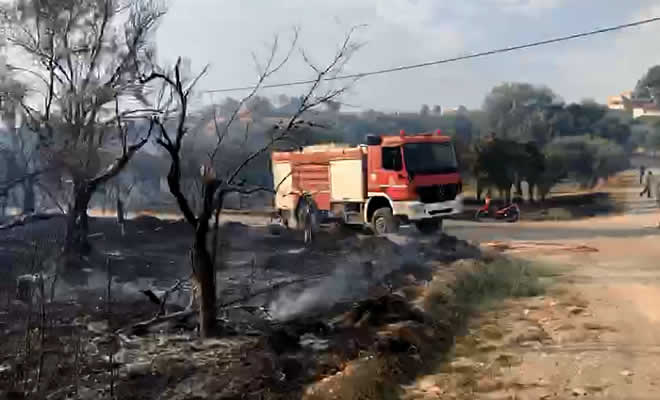 Τέθηκε υπό έλεγχο η φωτιά που εκδηλώθηκε στη Μαγούλα Σπάρτης