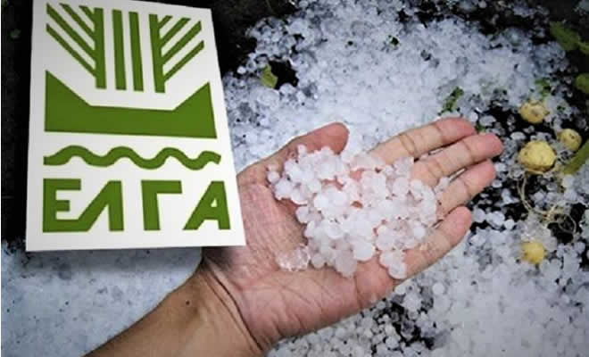 Υποβολή Δηλώσεων Ζημιάς από Χαλάζι στη Κοινότητα Γκοριτσάς