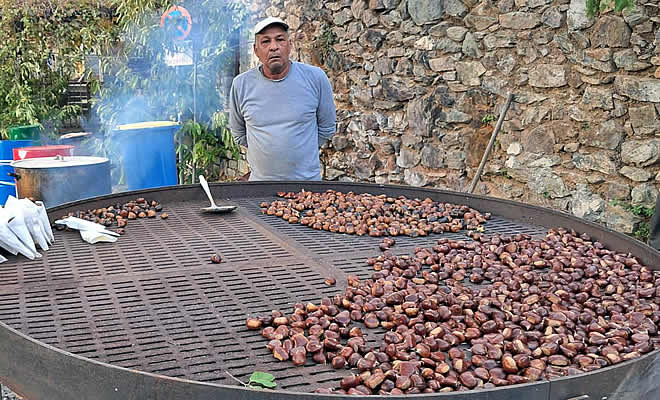 Με τα εγκαίνια της 21ης Γιορτής Κάστανου άνοιξε η αυλαία των εκδηλώσεων στην Άρνα του Δήμου Σπάρτης