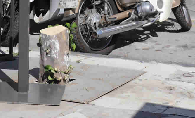 «Νεραντζούλα κομμένη και όχι… φουντωμένη» από τον Βαγγέλη Μητράκο