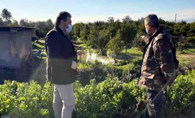 Περιοδεία Στ. Αραχωβίτη στις παγετόπληκτες περιοχές Ευρώτα και Μονεμβασίας