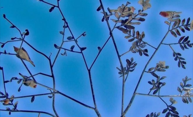Καλλιρρόη Κατσαφάνα: «Αστείρευτη πηγή έμπνευσης είναι η τέχνη των αρχαίων πολιτισμών»