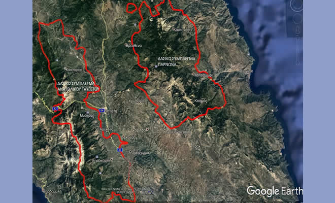Απαγόρευση κυκλοφορίας σε δασικές και άλλες περιοχές της Λακωνίας στην διάρκεια της φετινής αντιπυρικής περιόδου