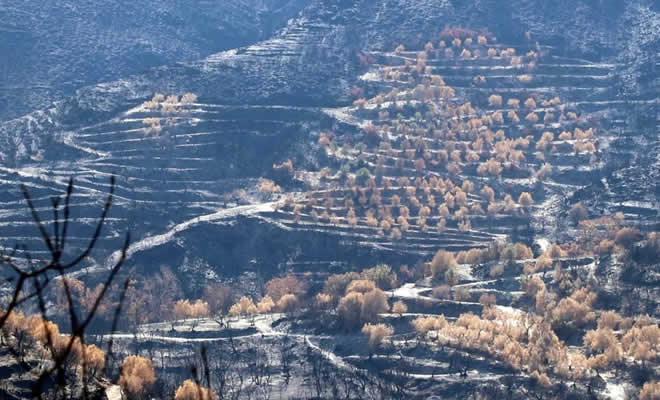 Είναι διττός ο ρόλος σας κ. Αντιπεριφερειάρχα: Και καλός εκτελεστής άνωθεν εντολών αλλά και υπερασπιστής των συμφερόντων των ψηφοφόρων σας